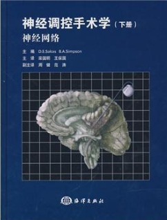 神经调控手术学(下册：神经网络) 