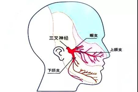 1532515470592166.jpg 微信图片_20180725184359.jpg
