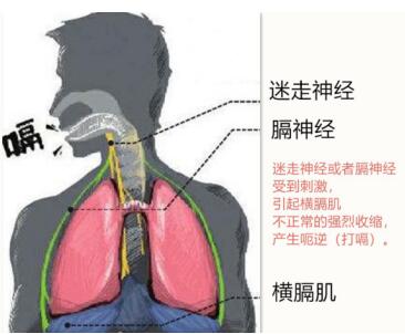 QQ截图20180731162351.jpg