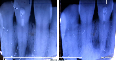 微信截图_20180921135938.png